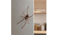 Spider Fridge Magnetic Piece Realistic Spider Magnetic Piece Novelty 3D for Collectors, Refrigerator, Halloween