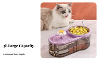 Large Capacity Cat Water Fountain with Food Bowl Ultra Quiet Automatic Pet Feeder and Waterer Easy to Clean for Travel