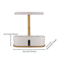 Countertop Hydroponic Planter with LED Grow Light Compact Hydroponic Planter Slimline Indoor Garden with Grow Light Transparent for Apartment Dwellers, Gardeners, Kitchen, Office, Windowsill