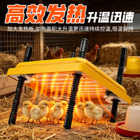 Chick Heating Pad Brooder Warmer for Poultry (EU Plug)