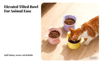 Wide Mouth Bear Shaped Pet Bowl Easy to Clean Elevated Cat Bowl Cute Design for Kittens, Senior Pets, Indoor, Kitchen, Living Room