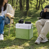 Cooler box 8.5L, passive insulated box for camping & picnics, keeps cool for 24 hours, robust cooler for car & day trips