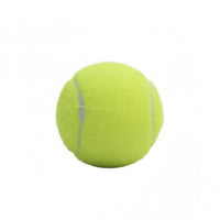 High Rebound Tennis Ball Natural Rubber Practice Tennis Ball Long-Lasting for Beginners, Amateur Players, School Gym, Backyard, Outdoor