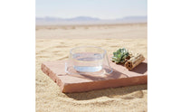 Disposable Cold-Blooded Animal Water Bowl Stable Base Anti-Tip Pet Dish Gecko Feeding Cups Clear Plastic Snake Bowl Large