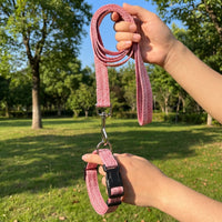 Small Dog Leash and Set for Pet Walking, Medium Dog Leash with Loop Handle, Small Cat Leash and Medium Cat Leash, Polyester Material