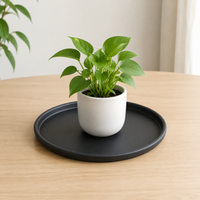 Plant Saucers, High Rim Desktop Plant Pot Trays, Heavy Duty Water Catching Tray, for Indoor & Outdoor Plants