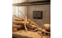 Pet Fan Heater with Digital Display Compact Enclosure Heater with Metal Support Frame Slim for Reptile Owners, Terrariums