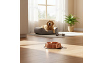 Stainless Steel Pet Bowl Rust Resistant Anti-Slip Dog Bowl Rose Rose-Hued Pet Dish for Young Dogs, Kittens
