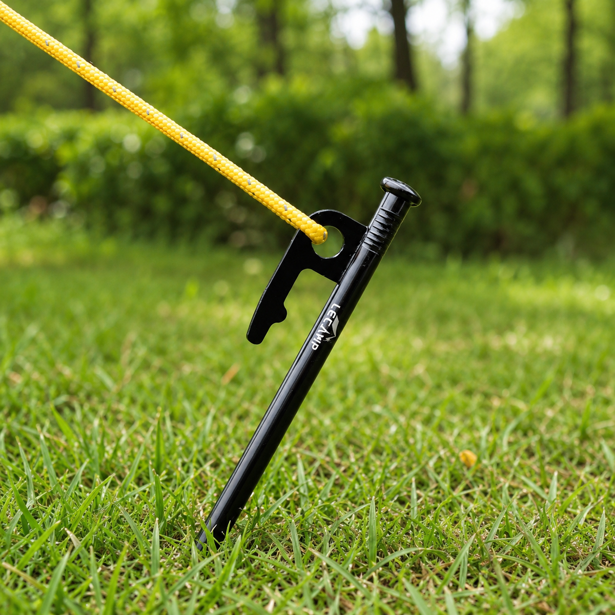 tent stakes