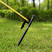 tent stakes