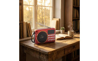 Carry Strap Multi-Band Bluetooth Radio Display Window Home Electronics USB Cable Sound Gadget Battery Powered