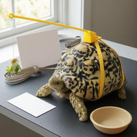 Turtle Harness and Leash Hanging Tether Turtle Walking Leash Yellow Reptile Walking Harness for Exercise