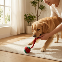 Colorful Cotton Rope Dog Chew Toy Set for Interactive Tug, Teething and Boredom Relief