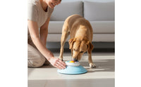 Textured Feeding Mat Bowl Easy to Clean Slow Feeder Bowl Portion Control Dog Lick Feeder for Feeding Time