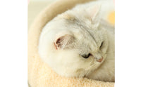 Multi-Functional Cat Scratcher Lounge Wear-Resistant Sisal Cat Scratching Bed Shed-Shed-Resistant Pet Furniture Ergonomic Curve