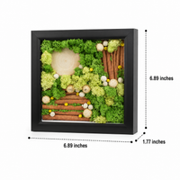 moss art frame