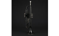 B♭ Trumpets Beginner-Friendly Trumpets with Hard Case Student Brass Instrument for Beginners, Students, Practice