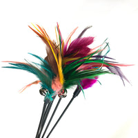 Pet Cat Teaser Wand Toy with Feather and Bell - Long Pole Interactive Play for Cats