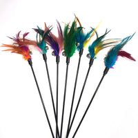 Pet Cat Teaser Wand Toy with Feather and Bell - Long Pole Interactive Play for Cats