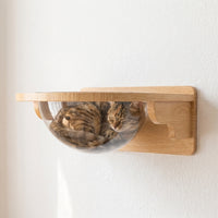 Mounted Cat Bed Perch and Wall-Mounted Modern Cat Furniture, Solid Wood Climbing Set for Large Cats, Elevated Activity Center with Scratcher