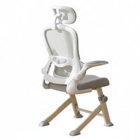 Fully Adjustable Ergonomic young Study Chair assist Rolling Mesh Chair weight-activated automaticsecureing casters Home Office Furniture Easy Installation for Students, Teenagers, Teens, schoolwork, Online Classes, Bedroom
