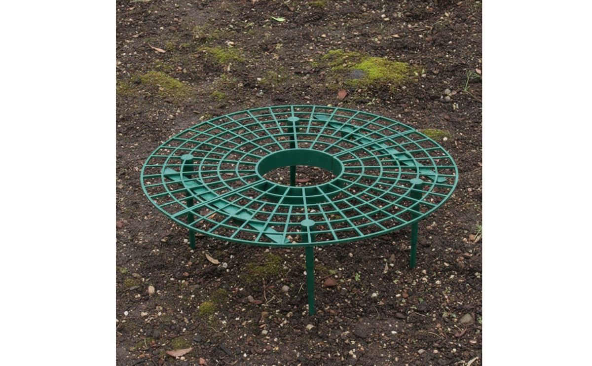 Keeps Berries Above Ground Strawberry Growing Rack Sturdy Plastic Strawberry Growing Frame Sturdy Design Fruit Plant Holder Reusable for Potted Plants