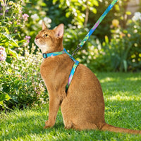 Adjustable Cat Harness and Leash Set, Escape Proof Nylon Vest Harness for Cats, H-Style Kitten Outdoor Gear, No Pull Small Pet Walking Supplies