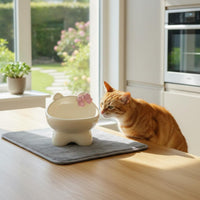 Raised Tilted Cat Bowl Cute Design Feeding Dish Anti Vomiting for Drinking
