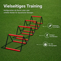 agility ladder