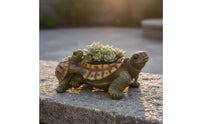 Turtle Planter Realistic Resin Turtle Planter Cute Face Garden Design Decor for Patio