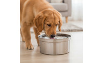 Dog Bowl with Floating Disk Anti-Slip Floating Water Bowl Removable Easy to Clean for Dogs, Home, Travel