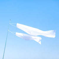 Carp-Shaped Wind Sock DIY Blank Windsock Carp Windsock Paintable Craft Decor White for Children