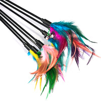 Pet Cat Teaser Wand Toy with Feather and Bell - Long Pole Interactive Play for Cats