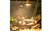 Natural Wood Lizard Platform with Chains Suspended Hanging Reptile Platform Comfortable Wooden Reptile Perch for Lizards, Reptiles, Terrarium, Habitat