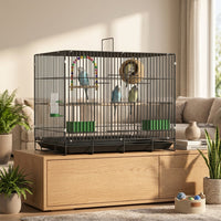 Foldable Metal Wire Bird Cage for Budgie, Lovebird and Finch Cage, Rectangular Indoor Single Layer Design, Portable Travel Case with 10mm Spacing
