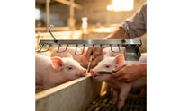 Heavy-Duty Metal Hanging Pig Frame Welded Pig Hanger with Hooks Wall-Mounted Hardware for Slaughterhouse
