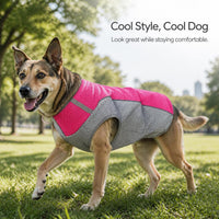Pet Cooling Vest Breathable Summer Dog Apparel for Heat Relief
