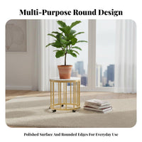 Easy to Move Rolling Planter caddy substantial Duty Plant Stand Modern Design Pot Mover effortless Operation for Indoor Gardeners, Homeowners, Landscapers, Living Room, Indoors, Balcony, elevateice