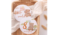 14 Pieces Baby Milestone Cards Pastel Milestone Card Set with Teddy Bear Cute Whimsical for Parents, Nursery Photos, Scrapbook