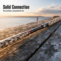 Dragon Wing Tiger Thunder Heavy Lure Fishing Rod Carbon Fiber XXH Power