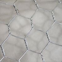 Hexagonal Wire Dog Fence, Galvanized Chicken Wire Mesh, 70x90mm Opening, Low Carbon Steel Silver Dog Fence for Livestock