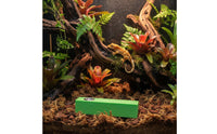 Comfortable Grip Amphibian Feeding Stick Long-Lasting Feeding Perch Mold Resistant for Herp Hobbyists