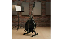 Includes Accessories Mandolin Starter Kit Easy to Play 8 String Mandolin Portable Plucked Instrument Rich Warm Tone for Beginners, Practice, Lessons