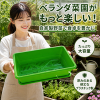 Rectangular Planter, For Home Vegetable Gardens, Flower Pot, Large, Plastic, Drainage Holes, With Saucer