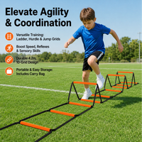 agility ladder