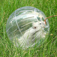 Clear Hamster Sphere Transparent Hamster Exercise Sphere Outdoor Use for Indoor