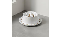 Easy to Clean Slow Feeder Pet Bowl Spill-Proof Rim Raised Maze Feeder Non-Slip Base Interactive Pet Food Dish Mental Stimulation for Dogs