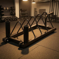 Fitness Disc Holder Angled Dividers Barbell Rack Side Handle