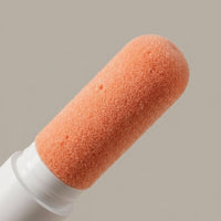 Earphone Cleaner Multi-Functional Earbud Kit, Portable Pen Brush for