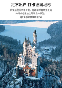 【睿思重力轨道球】冬天的新天鹅堡成人版拼图1500片收藏礼物